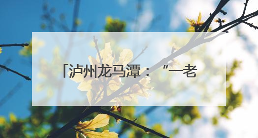 泸州龙马潭：“一老一小”服务落地有声 幸福生活近在咫尺